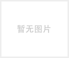 华北四不像车什么价格