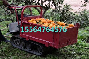 柑橘园用手推履带运输车 搬运柑橘履带式运输机
